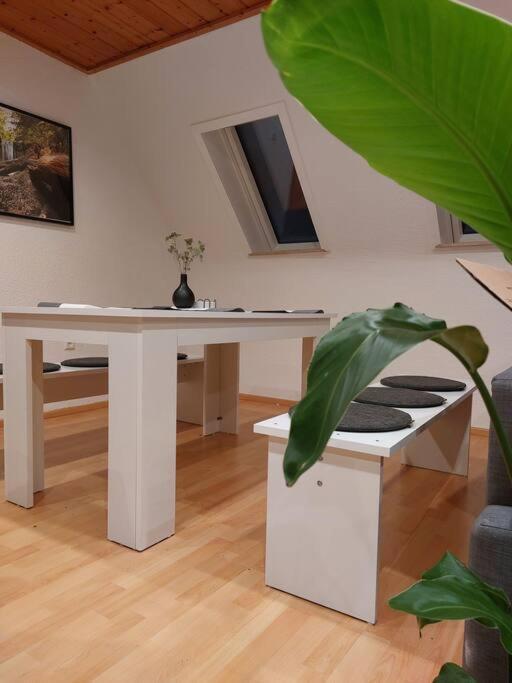 Rooftop Apartmens Ulm - Komfortable Neue Gemeinschaftsunterkunft Im Herzen Von Ulm - Raum 3 Екстер'єр фото